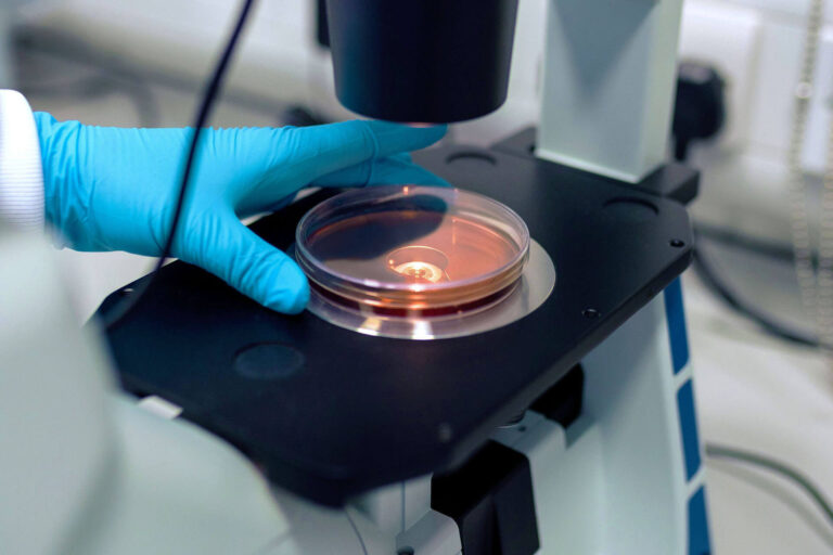 CFD simulation of melt and inclusion motion in a mold under the influence of electromagnetic force